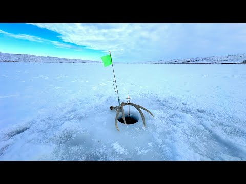 Video Thumbnail for Walleyes pounding hooks / Miles From Anyone