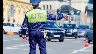 От ее рыка сотрудник ГБДД отскочил и чуть не сел на пятую точку. Он испугано посмотрел и…