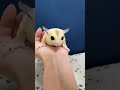 フクロモモンガのYouTubeサムネイル画像