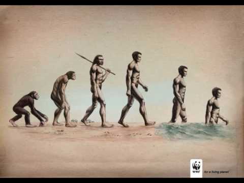 haunted house feat.german david leguizamon - Lentamente (rescue the frog) neuroxyde david jones.wmv