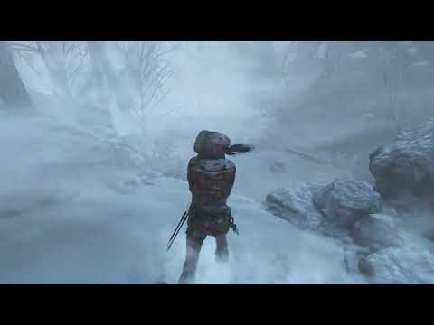 Rise of the Tomb Raider - Any% Speedrun in 49:46 (IGT)