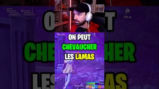 On peut CHEVAUCHER les LAMAS