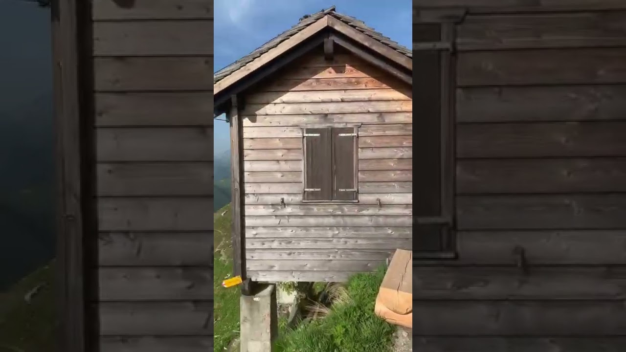 YouTube Short thumbnail