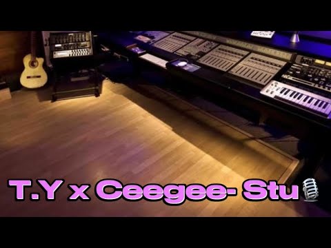 T.Y x Ceegee- Stu (Official Audio) [Prod. ​⁠@westtt]