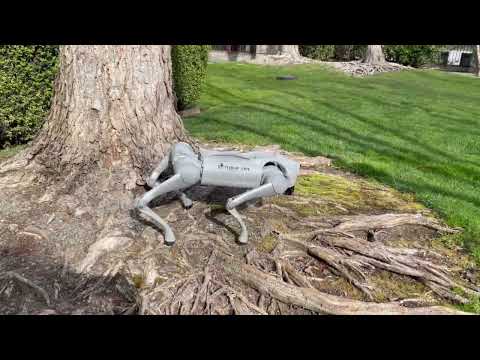 Meet My Unitree Go2 Pro Robot Dog
