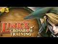 Link 39 s Crossbow Training Level 3