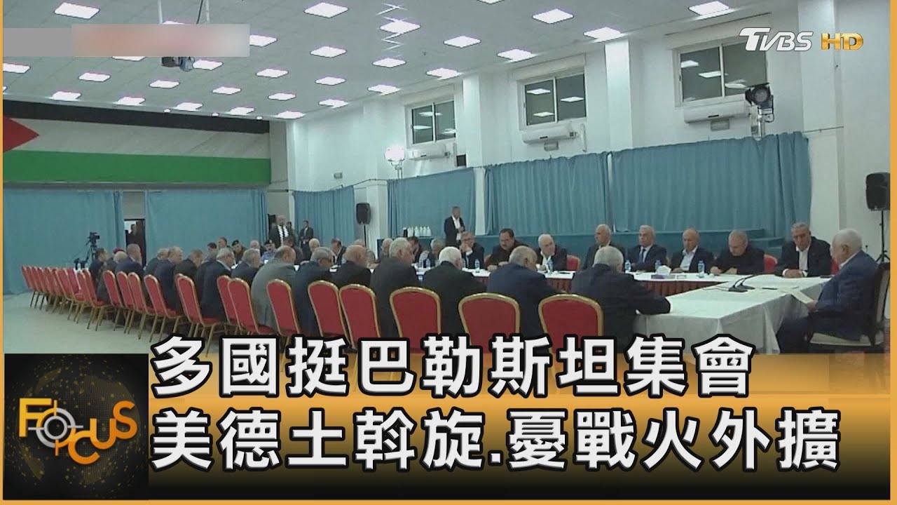 多國挺巴勒斯坦集會　美德土斡旋.憂戰火外擴