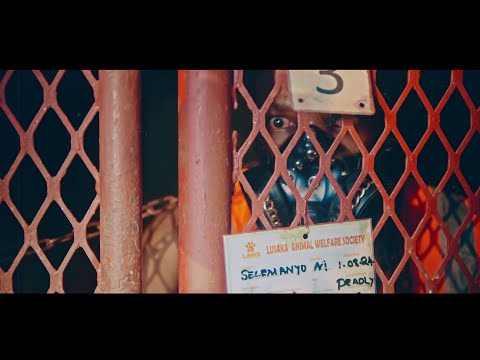 Selemanyo - Feeling Ya Mbwa ( Official Music Video ) Dir By Ink Drop BIG PICTURE