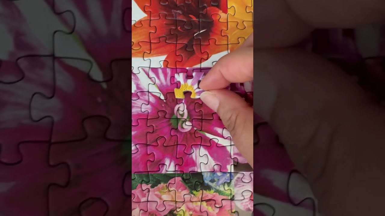 Rainbow of Flowers #rainbow #flower #flowers