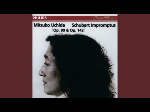 Schubert: 4 Impromptus, Op. 90, D. 899: No. 1 in C Minor: Allegro molto moderato