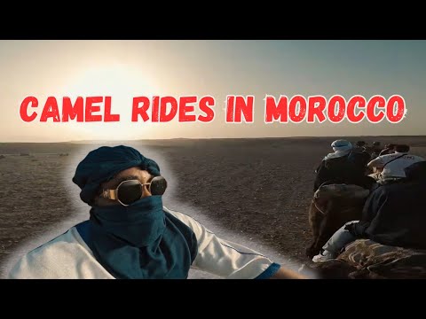 Moroccan Desert Adventures: Camel Rides and Argan Oil