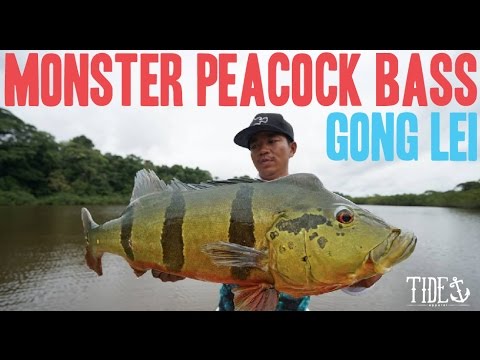 MONSTER PEACOCK BASS - Gong Lei - Tide Apparel