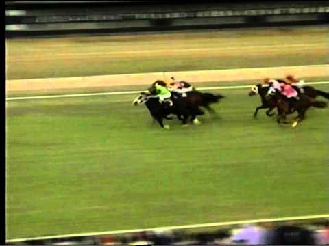 Borrowdale Park Race Course - Race 7 run on Saturday 21 May 2011