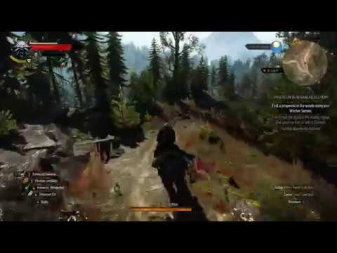 The Witcher 3 Wild Hunt Playthrrough Walkthrough Gameplay Part 30 LIVE