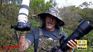 Canon R5ii and Nikon Z6iii shooting hummingbirds