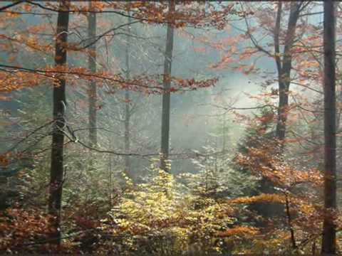 Relaxations - Secret Garden