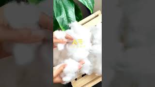 Download lagu waktunya ganti bantal menggunakan bantal silikon ini buruan cek mp3