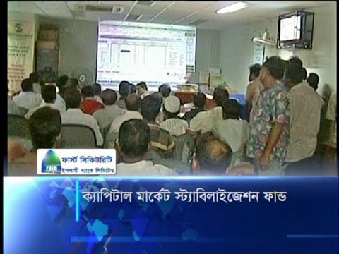 ক্যাপিটাল মার্কেট স্ট্যাবিলাইজেশন ফান্ড