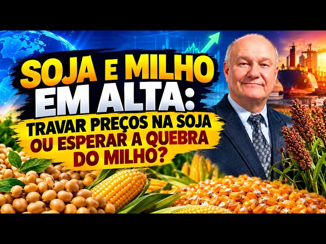 Soja E Milho Em Alta: Travar Preços na Soja ou Esperar a Quebra do Milho?