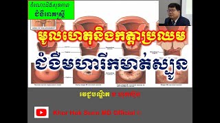 មូលហេតុនិងកត្តាប្រឈម ជំងឺមហារីកមាត់ស្បូន l Etiology and risk factors of cervical cancer l Dr. Sunn