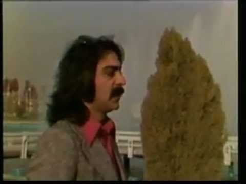 Kourosh Yaghmaei , Thistle :.: کوروش یغمایی ، خار