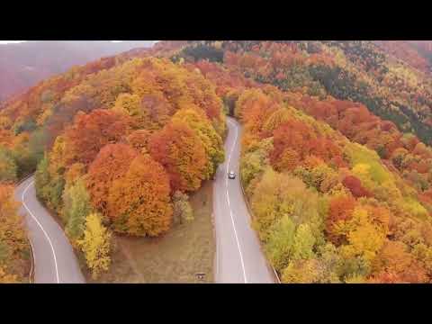 Business Meetings @ Castelnor Hotel&Spa