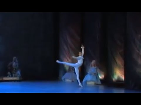 「眠れる森の美女」の DNS – DoH に王子が登場