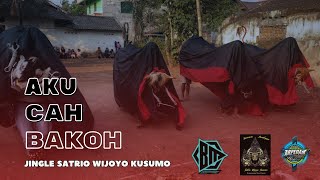 Download lagu NEW! Aku Cah Bakoh Bantengan Special Perfome SATRIO WIJOYO KUSUMO Banjarejo Pakis By Arpedam project mp3