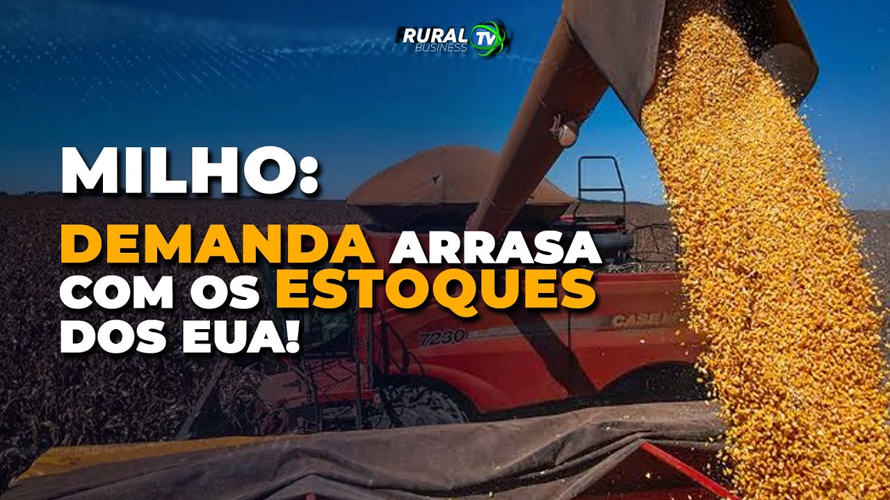 MILHO: DEMANDA ARRASA COM OS ESTOQUES DOS EUA!