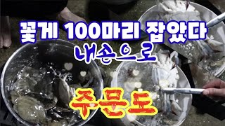 주문도 손으로 꽃게 100마리 잡았다.. 강화나들길 12코스 주문도길 주문팔경(주문8경)사진 동영상