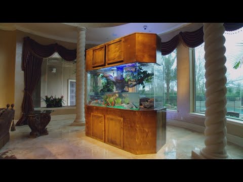 Surprise livestream with Greg Wittstock The Pond Guy