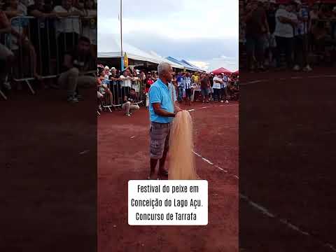 Festival do peixe em  Conceição do Lago Açu. Concurso de Tarrafa