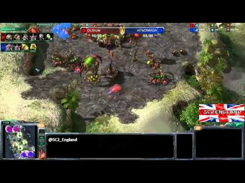 GLSnute vs mTwDIMAGA - ZvZ