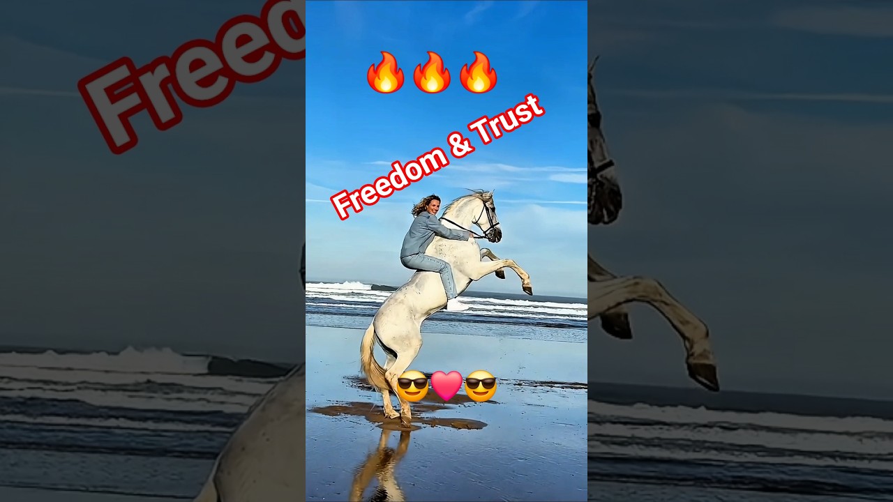 Horse Riding at Its Purest 🐎🌊 | Freedom & Trust #horseriding #equestrian