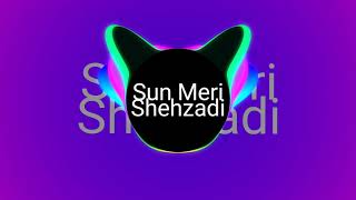 Download lagu Spiky V - Sun Mere Shehzadi Remix mp3