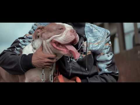 Shady Spades - Panda Remix [Official Trailer)  | Alpha Gang