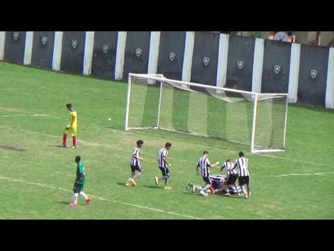 12R  A.A Portuguesa 1 x 3 Botafogo  - Gols ( Taça Rio )