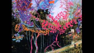 Animal Collective - Too Soon (Live in Tonic, NY March 2002 1/5)