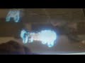 La Era De Hielo Opening Travel Music