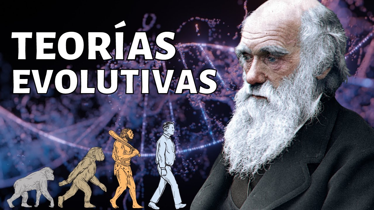 Las TEORÍAS EVOLUTIVAS explicadas: Leclerc, Lamarck, Wallace, Darwin, otros🦒
