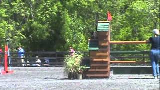 Video koně Mighty Nice