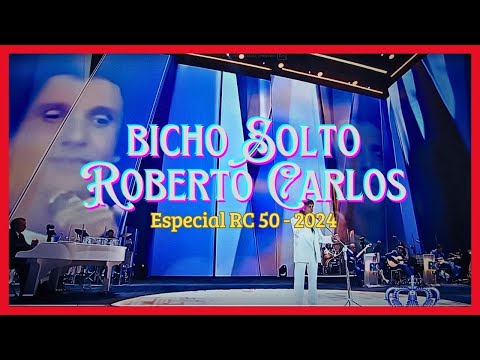 A Nova música de Roberto Carlos 2024 | BICHO SOLTO