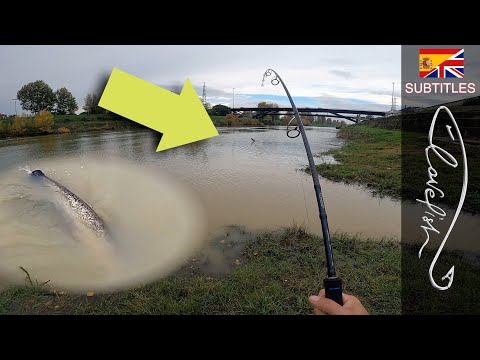 A pesca di mostri! Il pesce più forte che ho mai combattuto!