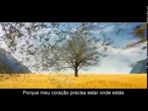 I don't wanna go traduzida - Avalon