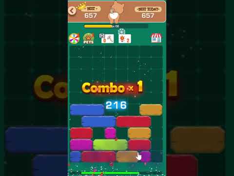 Sliding Block Puzzle - Pet