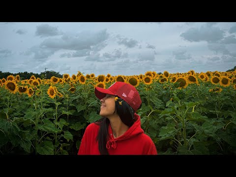 LUANA 🌙 - Sin Sentido (Video Oficial)