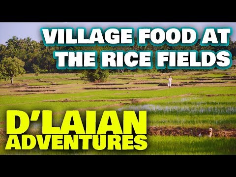 Village Food at the Rice Fields