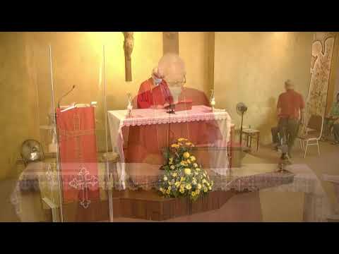 Holy Mass - 2nd week of Ordinary Time - Saturday 22nd January 2022