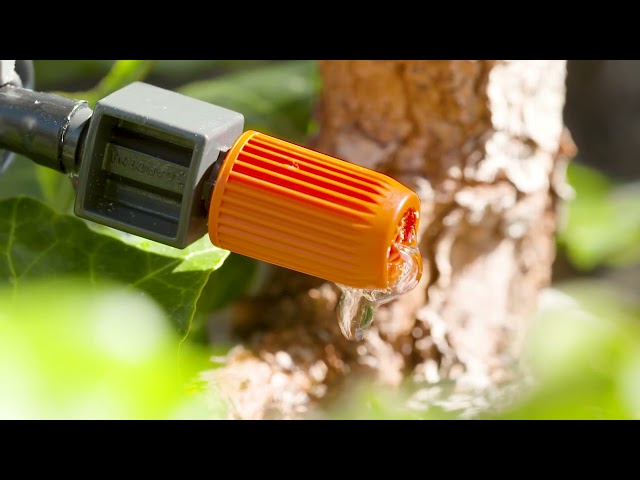 YouTube Video -