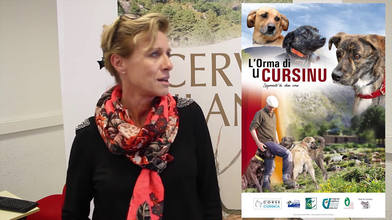 Tous en action ! Corse : le cerf de Corse, d'un programme de conservation à un programme d'éducation participatif